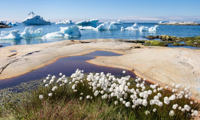 Spring Comes 26 Days Earlier in the Northern Hemisphere Than a Decade Ago