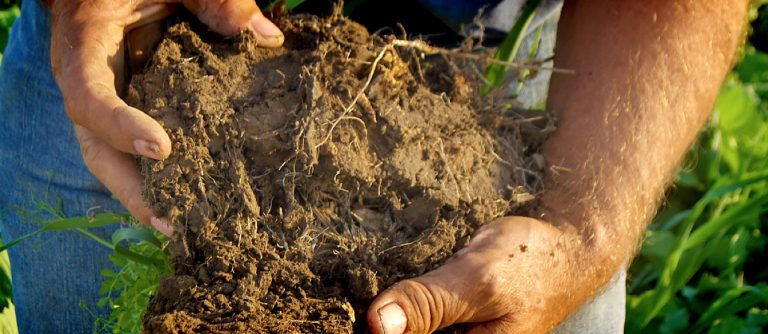 A New Technology for Identifying Variable Soil Problems that Impact Farm Yields