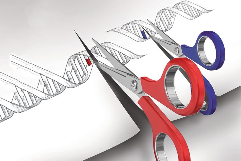 Xenotransplants, Gene Manipulation, and Organ Regeneration: Who Will Win Out in This New Medical Space Race?