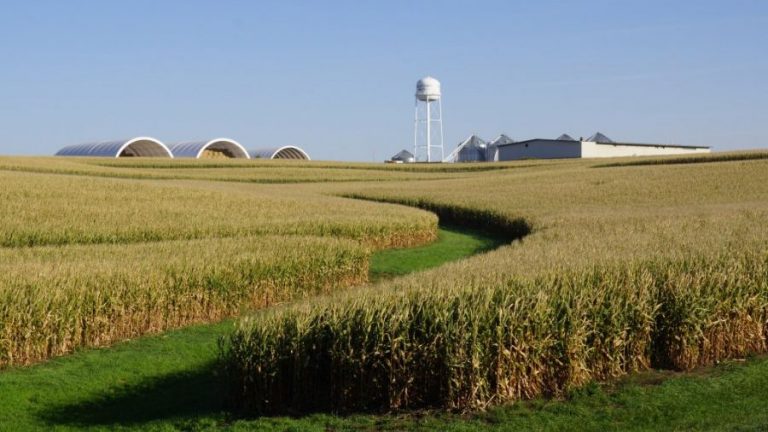 Agriculture Faces Many 21st Century Disruptors