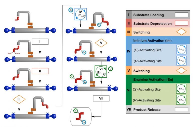Tiny Robots Serve as Programmable Molecular Assembly Machines