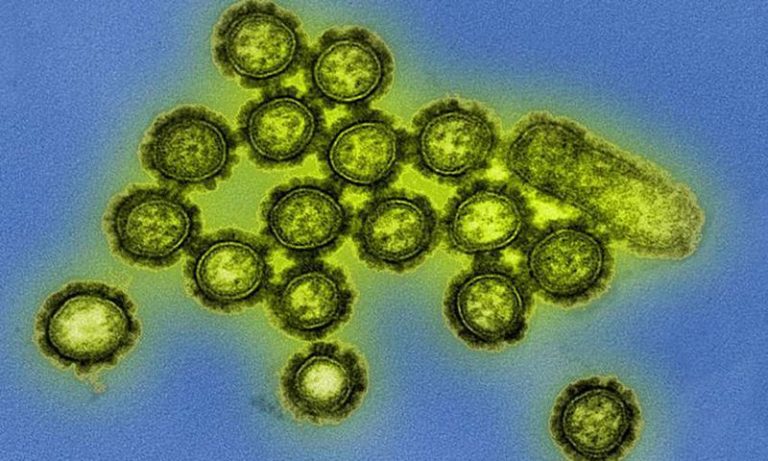 Personalized Precision Medicine May Soon Lead to a Personal Flu Shot