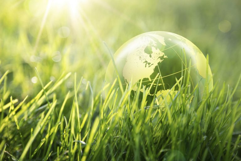 Investing in Green One Way Each of Us Can Help in Addressing Climate Change