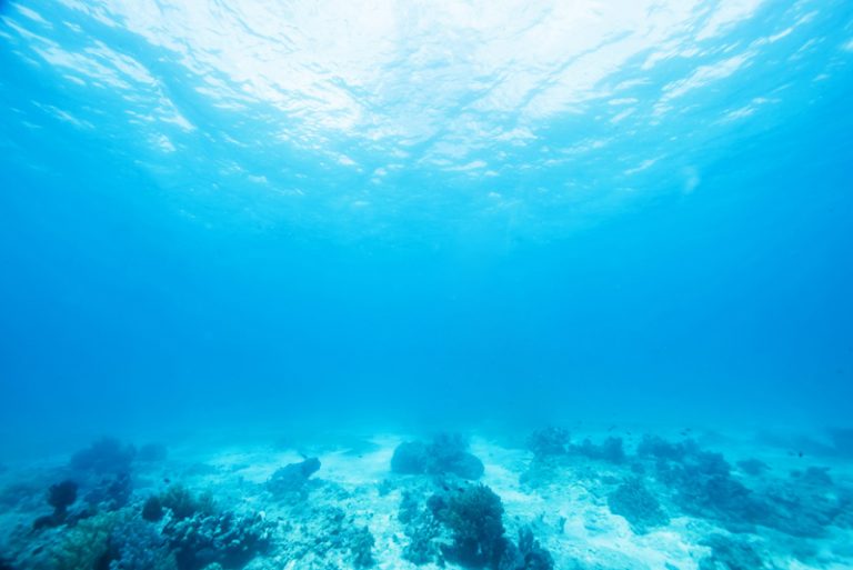 Low-Oxygen Dead Zones Threatening Ocean and Coastal Waters
