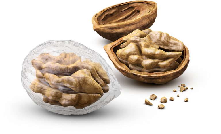 A Biodegradable Film May Change How We Currently View and Deal With Plastic Waste