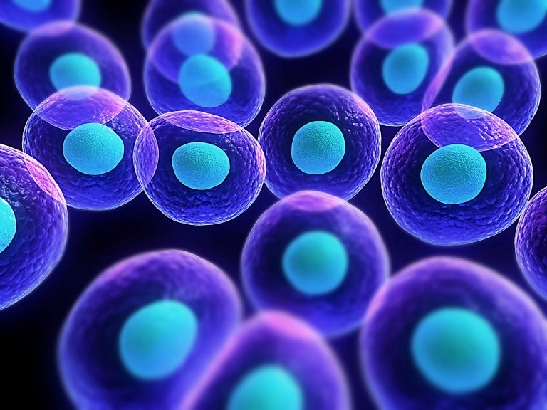 3D Printing Body Parts is No Longer Science Fiction