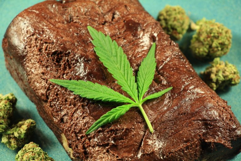 Cannabis as a Pain Medication is Finally Finding Legitimacy Among Medical Professionals