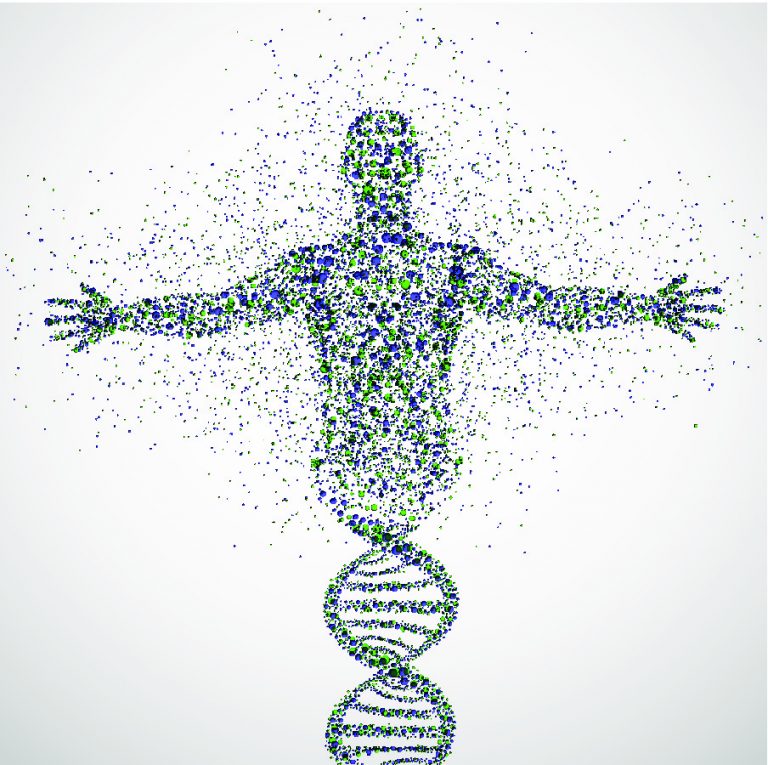 American Food and Drug Administration Issues Guidelines for Genetic and Regenerative Medical Therapies
