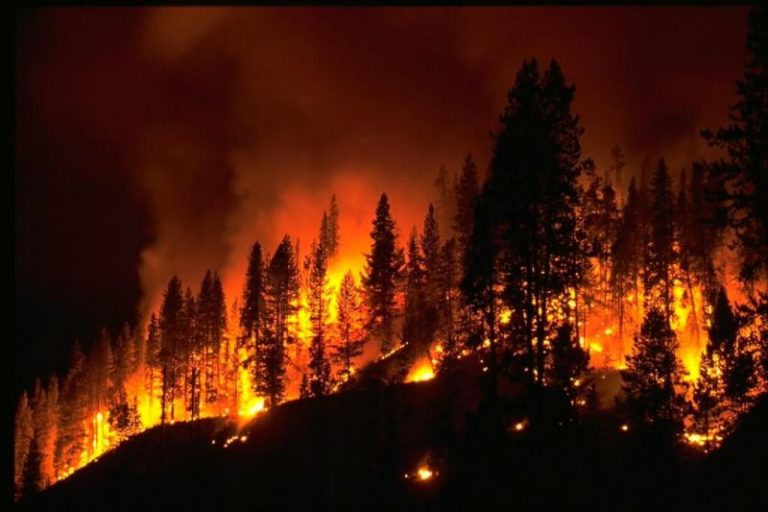 Wildfires and Climate Change – Is There a Correlation or are There Other Explanations?