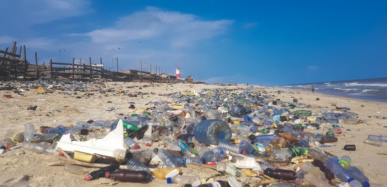 I am a Fanatic at Recycling and Aghast at the Latest News