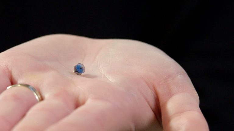 Gizmos & Gadgets: The Pea-sized Piccolo Will Save Premature Babies from a Common Congenital Heart Defect