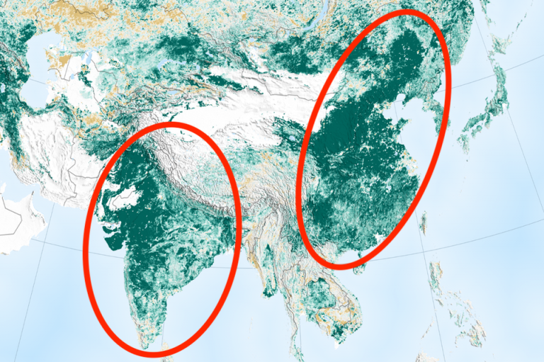 The World is Getting Greener Because of India and China