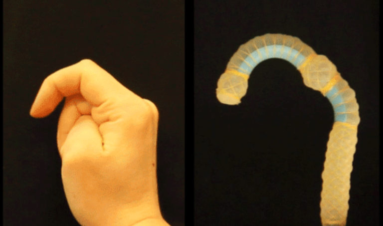 Gizmos & Gadgets: NASA Has Different Ideas About What Constitutes a Robot and it is Soft