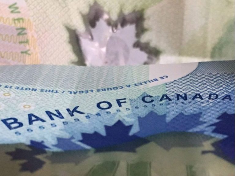 Bank of Canada Sees Climate Change as the Key Threat to the Country’s Economic Future