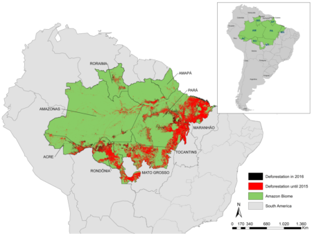 Brazil Loses Amazon Preservation Funding From Norway And Germany
