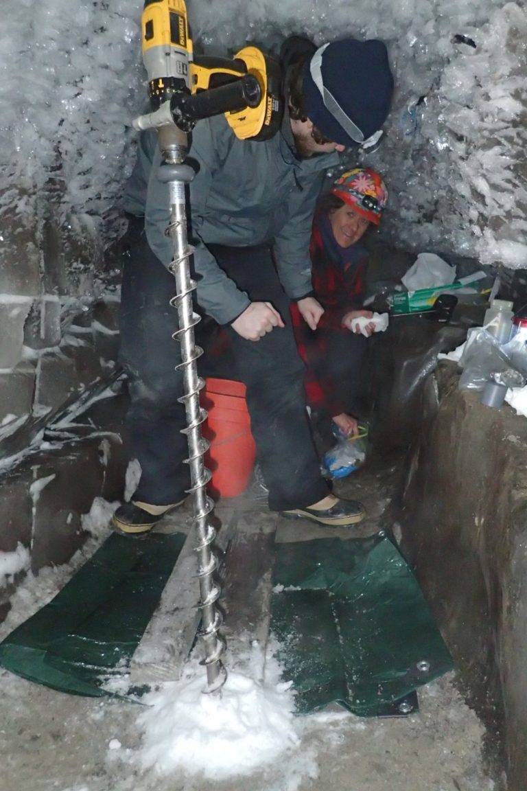 Ancient Die-Offs and a Discovery in Permafrost Trapped Alaska Seawater Tell Two Different Stories About Life on Earth