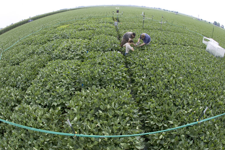 Planetary Health, Food Quality and Quantity Will All Be Impacted by CO2 Increases