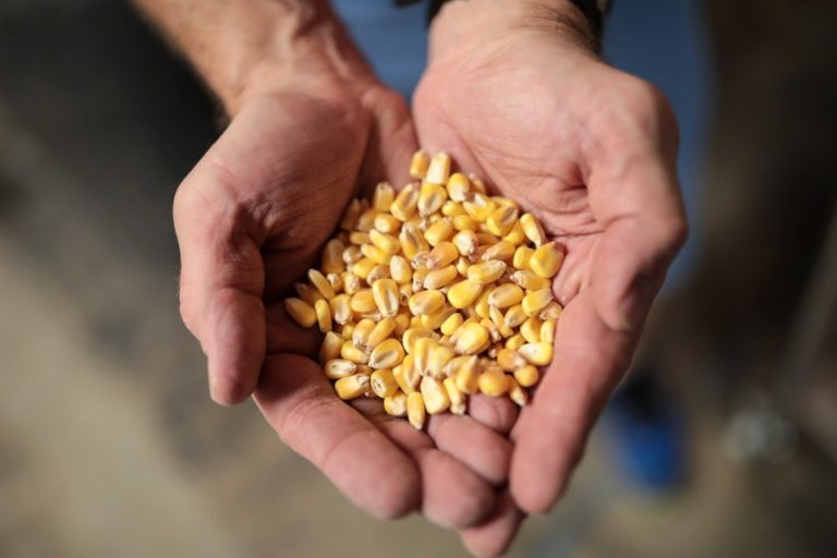 Only a Headline Possible In Today’s Circumstances: Ethanol Producers Switch from Biofuels to Making Hand Sanitizer