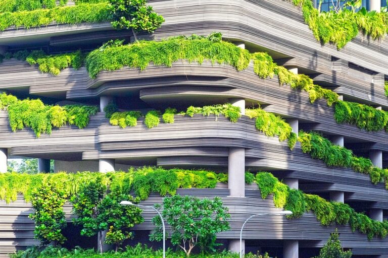 Small Business Going Forward in the Age of Climate Change Needs to Embrace Sustainability to Thrive