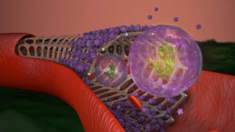 Smart Stents May Soon Change the Way Cardiologists Help Patients
