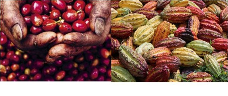 Biological Innovation May Be The Most Important Investment We Make to Adapt to Climate Change