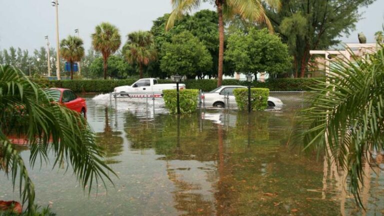 Climate Change Risks Part 1: Vulnerabilities, Risks, and Adaptation Strategies