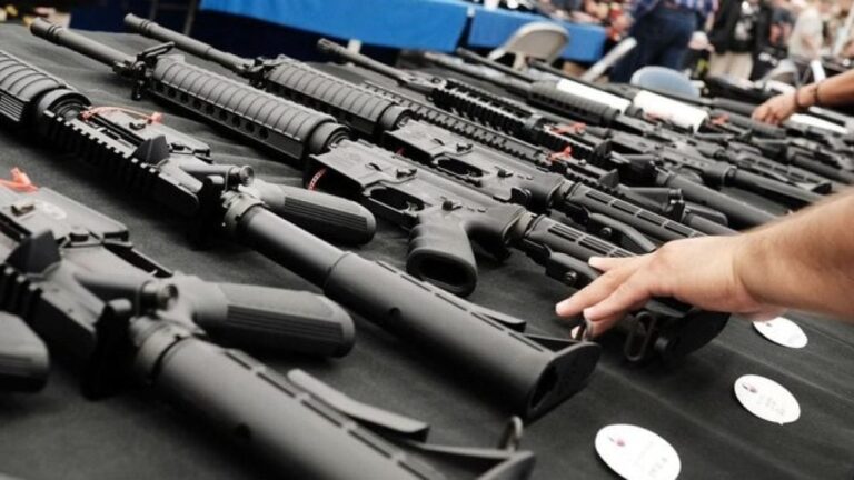 About Gun Violence in America – Listen to the Scientists
