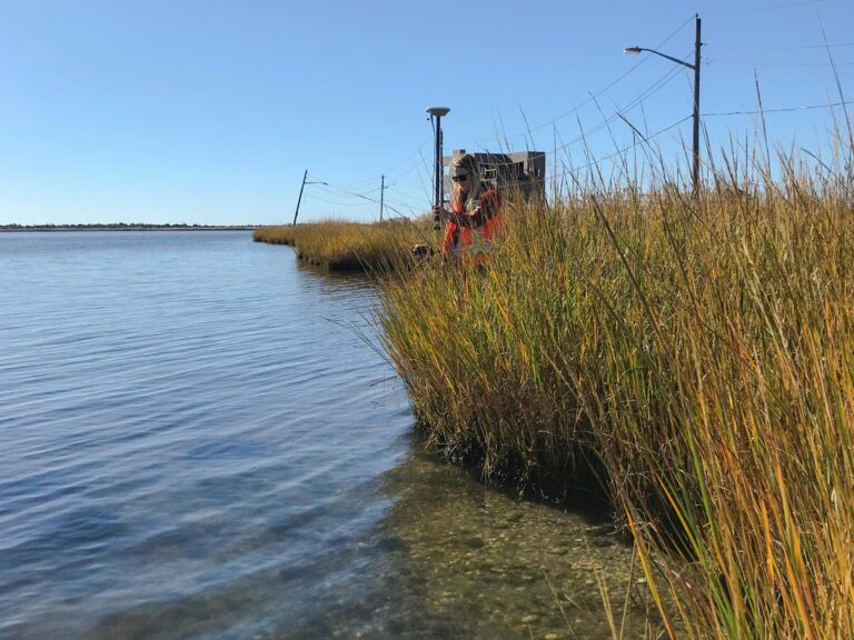 Will Americans Stage a “Managed Retreat” from Their Coastlines?