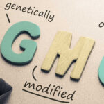 GMOs are the Key to Future Food Security