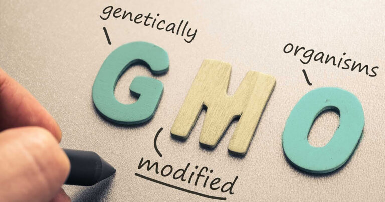 GMOs are the Key to Future Food Security