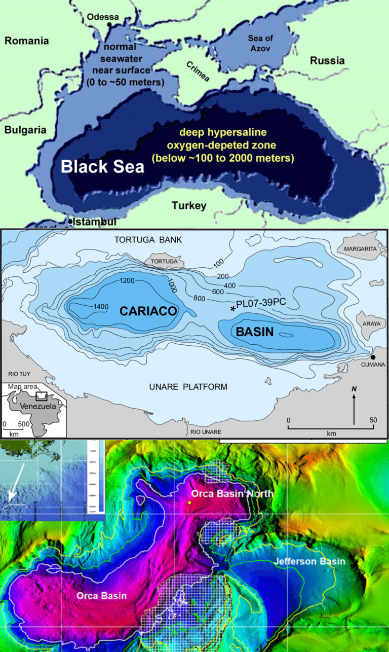 Decarbonization Conversations: Anoxic Marine Basins May Help Mitigate Climate Change