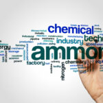 Hydrogen From Ammonia or Ammonia Itself May Power Our Future