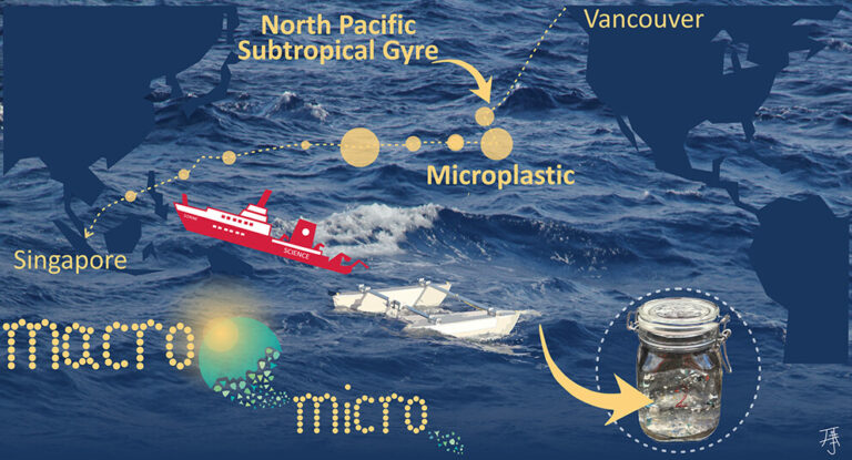 Plastic Everywhere and What It Means to Humans and Life on the Planet