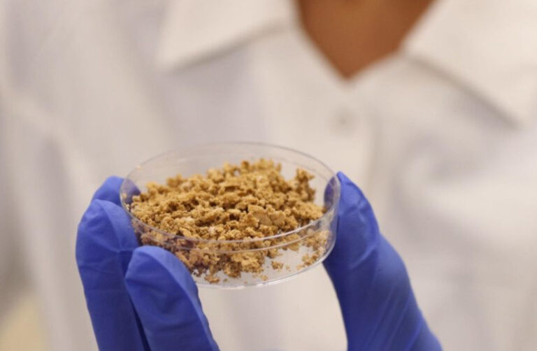 Transforming Coffee’s Future With Bioreactors And Cell Power