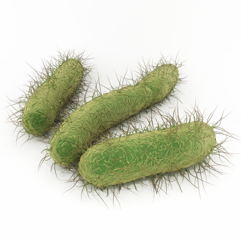 Smart Antibiotics Are In Our Future