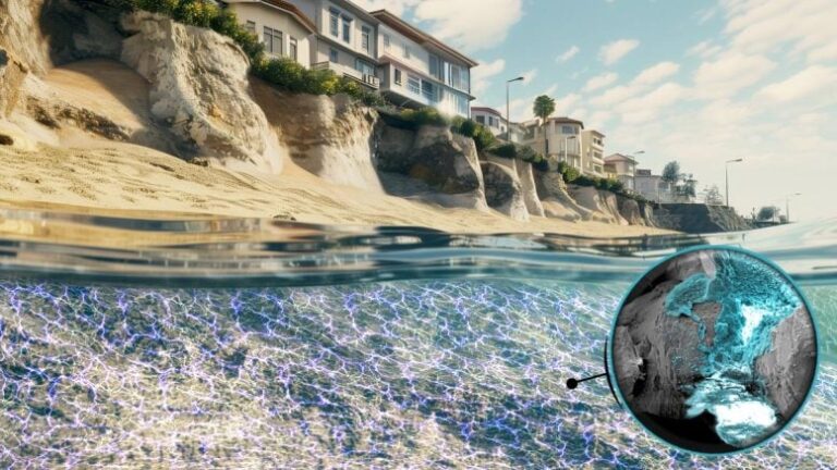 Shock Therapy Proposed By Northwestern University To Shore Up Shorelines