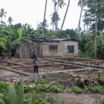 Climate Change And The Future Of Food Security