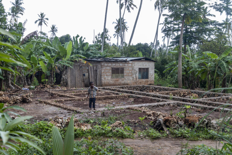 Climate Change And The Future Of Food Security