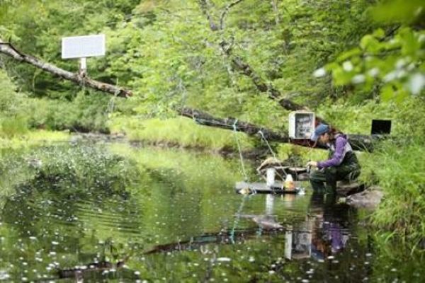 River Liming Originally to Mitigate Acid Rain Now Being Used to Sequester Carbon