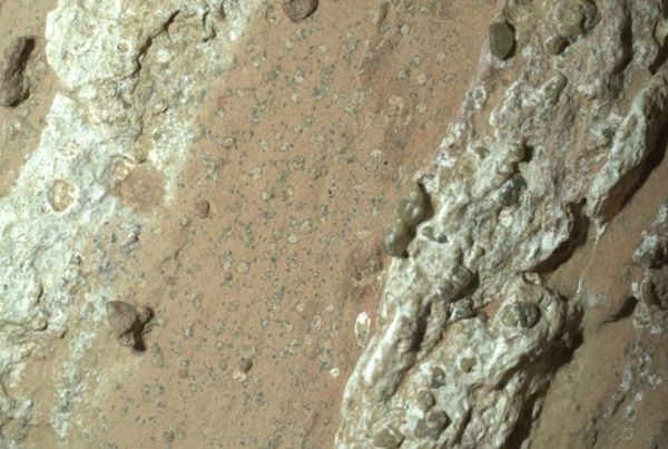 Mudstones from Mars