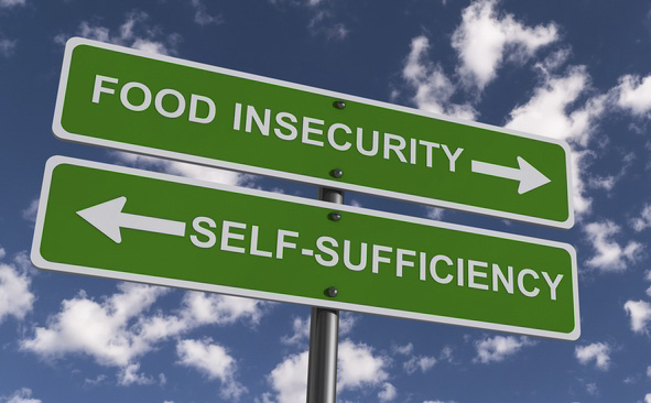 Lila Warren food insecurity