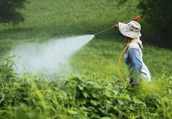 Pesticides
